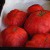 Yummy Eats | spanish_tomatoes_poster_16x12.jpg