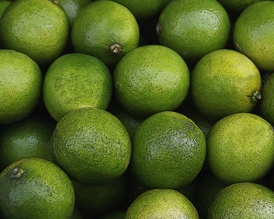 Yummy Eats | limes_10x8_poster.jpg