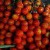 Yummy Eats | toms_poster_edge.jpg