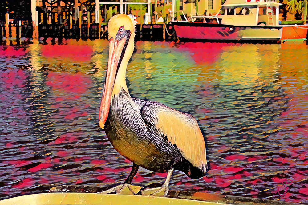 CRAZY ART | pelican.jpg
