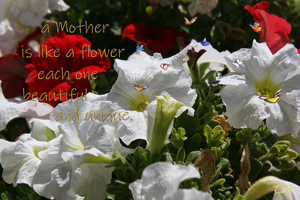 Mothers gifts | mothers_day.jpg