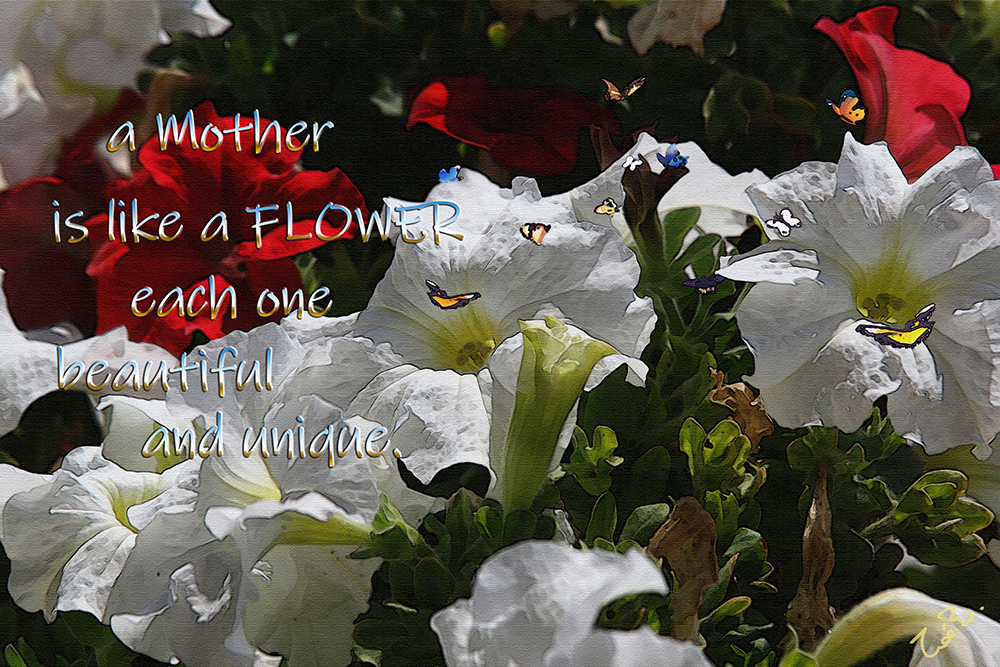 Mothers gifts | mothers_day_4.jpg