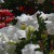 Mothers gifts | mothers_day_4.jpg