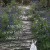 Mothers gifts | bluebell_wood_mum.jpg