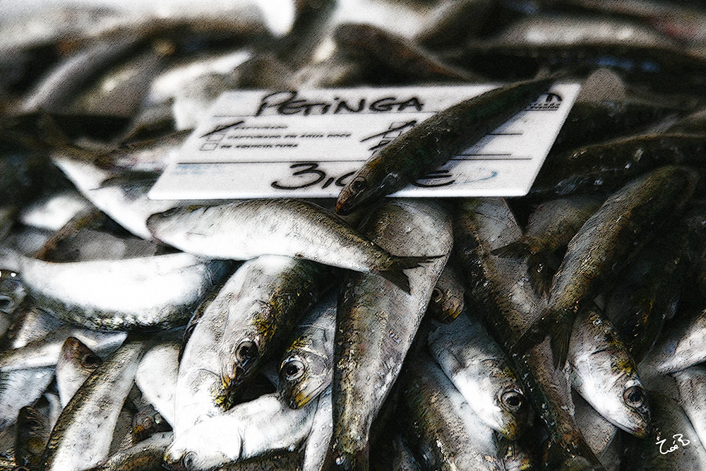 Yummy Eats | fish_for_tea.jpg