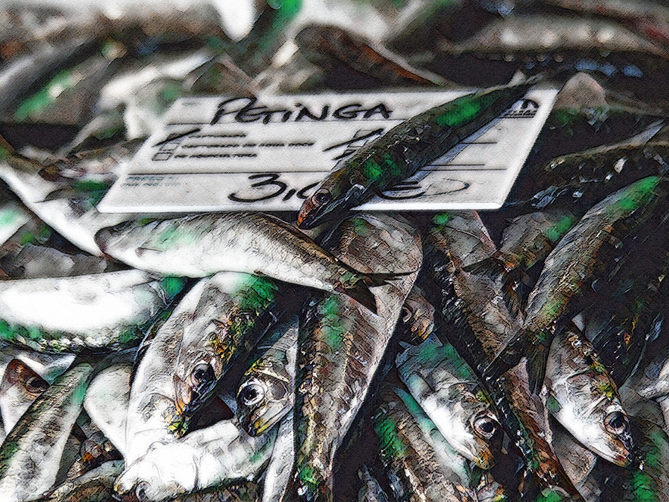 Yummy Eats | fish_now_1.jpg