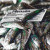 Yummy Eats | fish_now_1.jpg