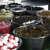 Yummy Eats | who_love_olives.jpg