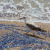 Fun Pictures | seagull_time.jpg