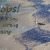 Fun Pictures | seagull_oops.jpg