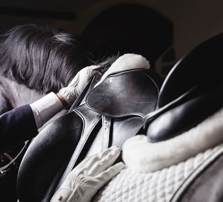 Did You Know That Success is 80% Mindset and 20% Skill and Physical Ability?