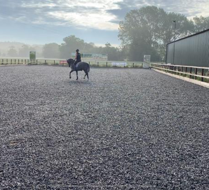 Working with a Young Horse