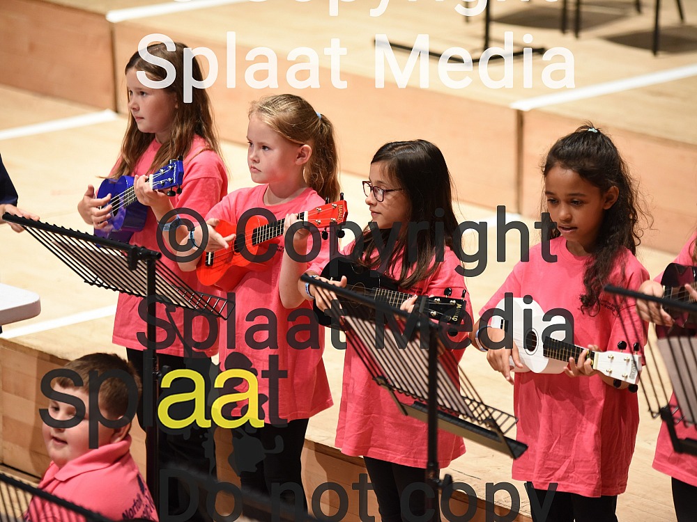 Uke n toot n tap n bows > MFY National Festival 2018
