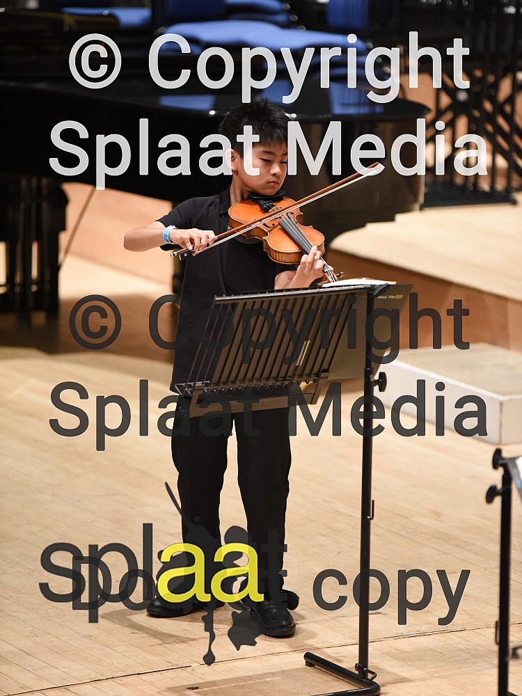 Elm Trio > MFY National Festival 2018