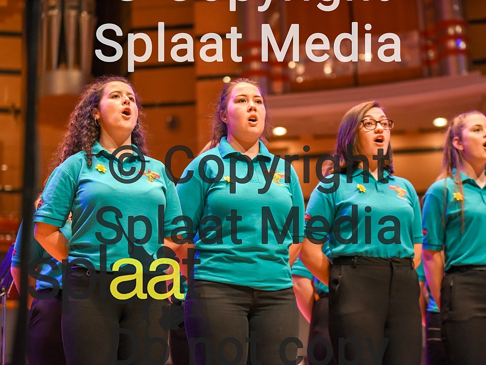 Ysgol Gerdd Ceredigion > MFY National Festival 2018
