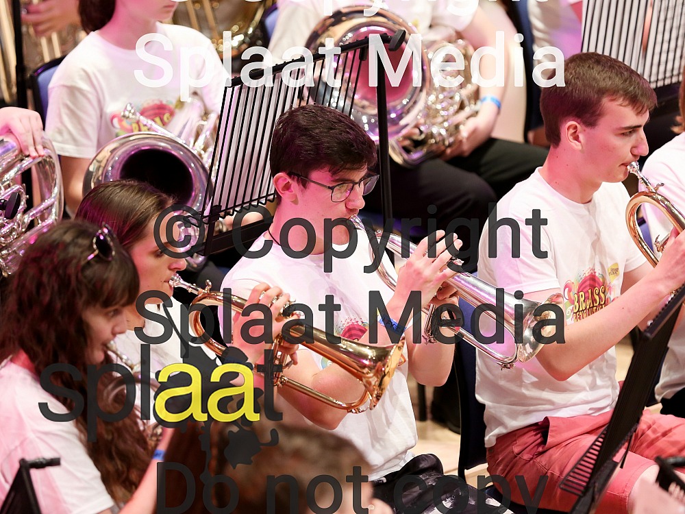 Love Music Trust Ensemble > MFY National Festival 2018