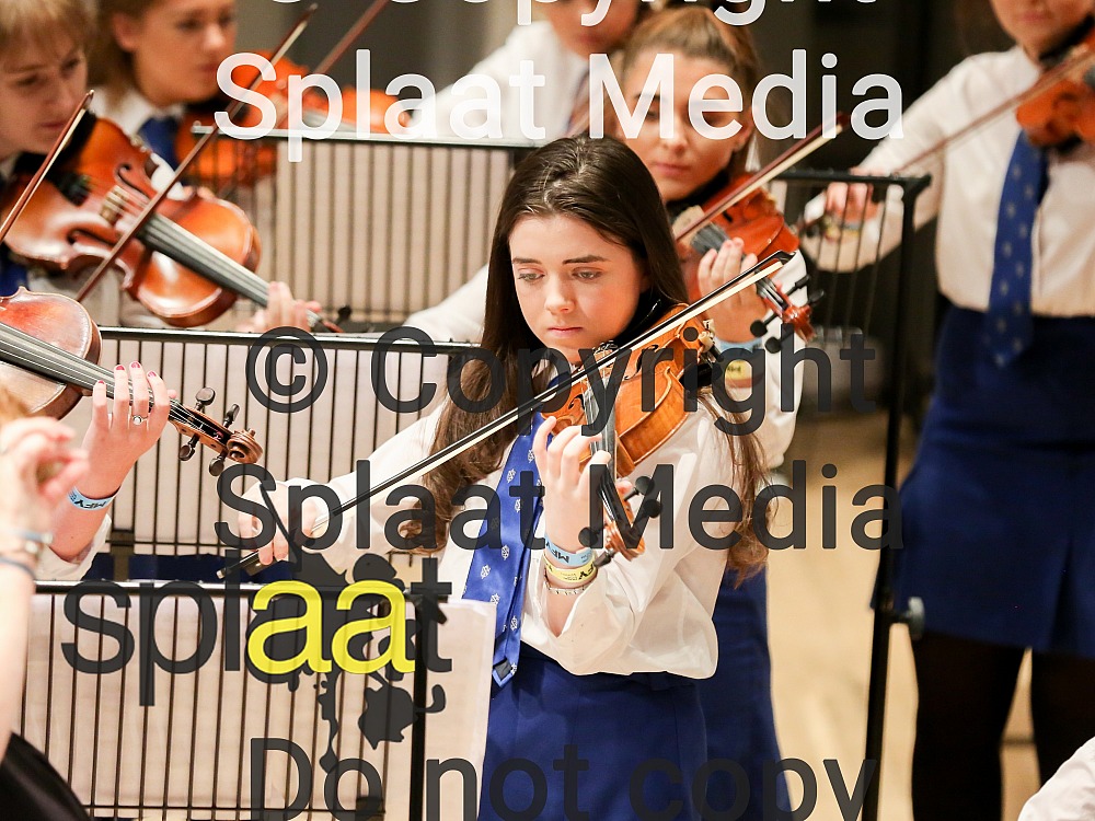 AGS Senior String Ensemble > MFY National Festival 2018