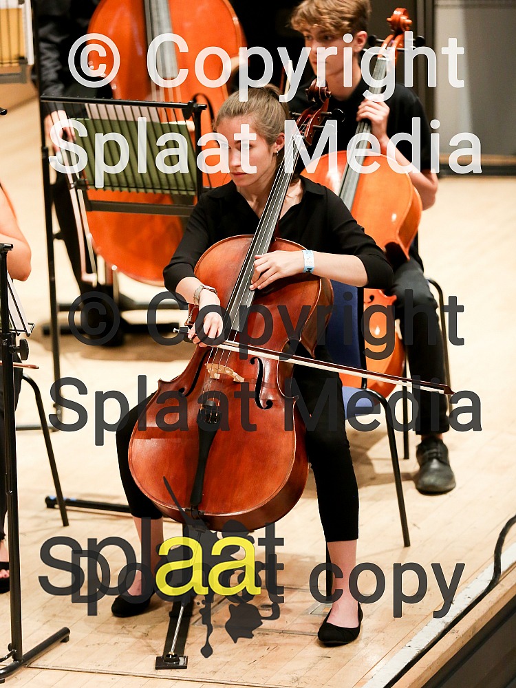 Isca Linea Senior Strings > MFY National Festival 2018