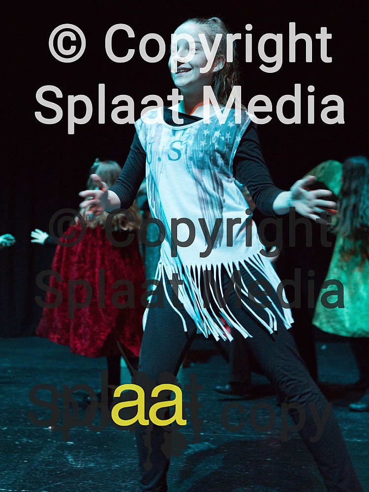 Harrogate High School > Shakespeare Schools Festival 2018