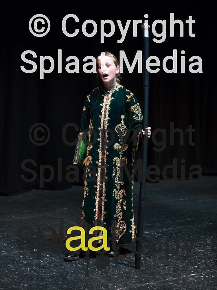 Gildersome Primary School > Shakespeare Schools Festival 2018