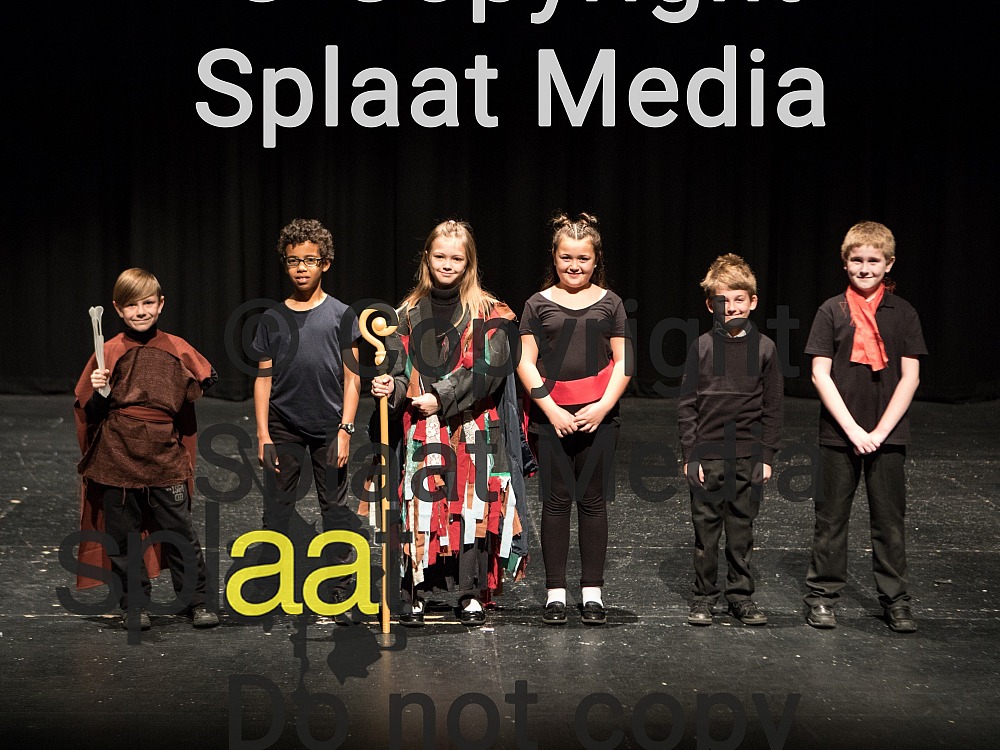 Valley View Community Primary School > Shakespeare Schools Festival 2018