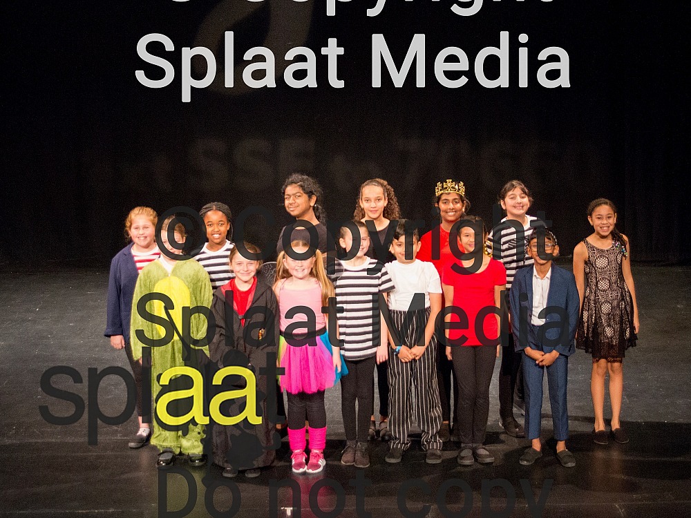 St Bernadettes Catholic Primary School > Shakespeare Schools Festival 2018