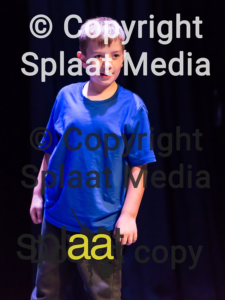 Langley Green Primary School > Shakespeare Schools Festival 2018