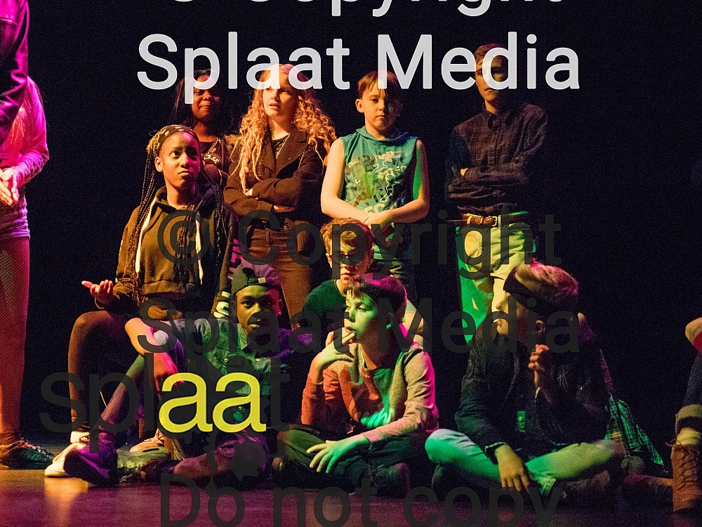 Fairfax > Shakespeare Schools Festival 2018