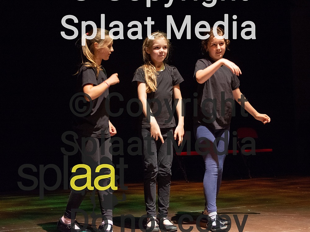 Stour Federation (Shipston Primary & Brailes Primary) > Shakespeare Schools Festival 2018