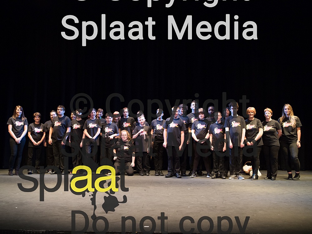 Heronsbridge Special School > Shakespeare Schools Festival 2018