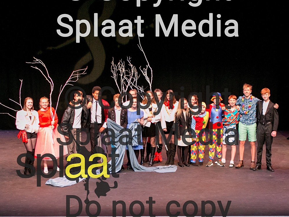 Dame Allans > Shakespeare Schools Festival 2018