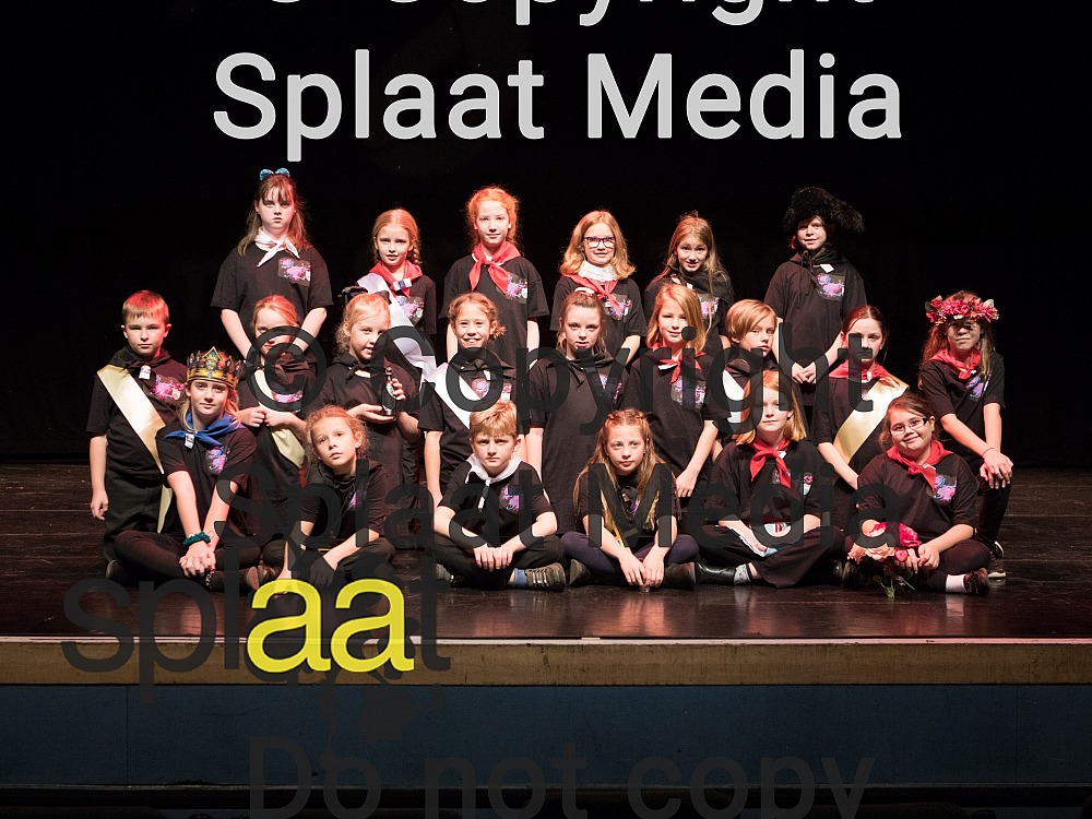 Dersingham VA Primary and Nursery School > Shakespeare Schools Festival 2018