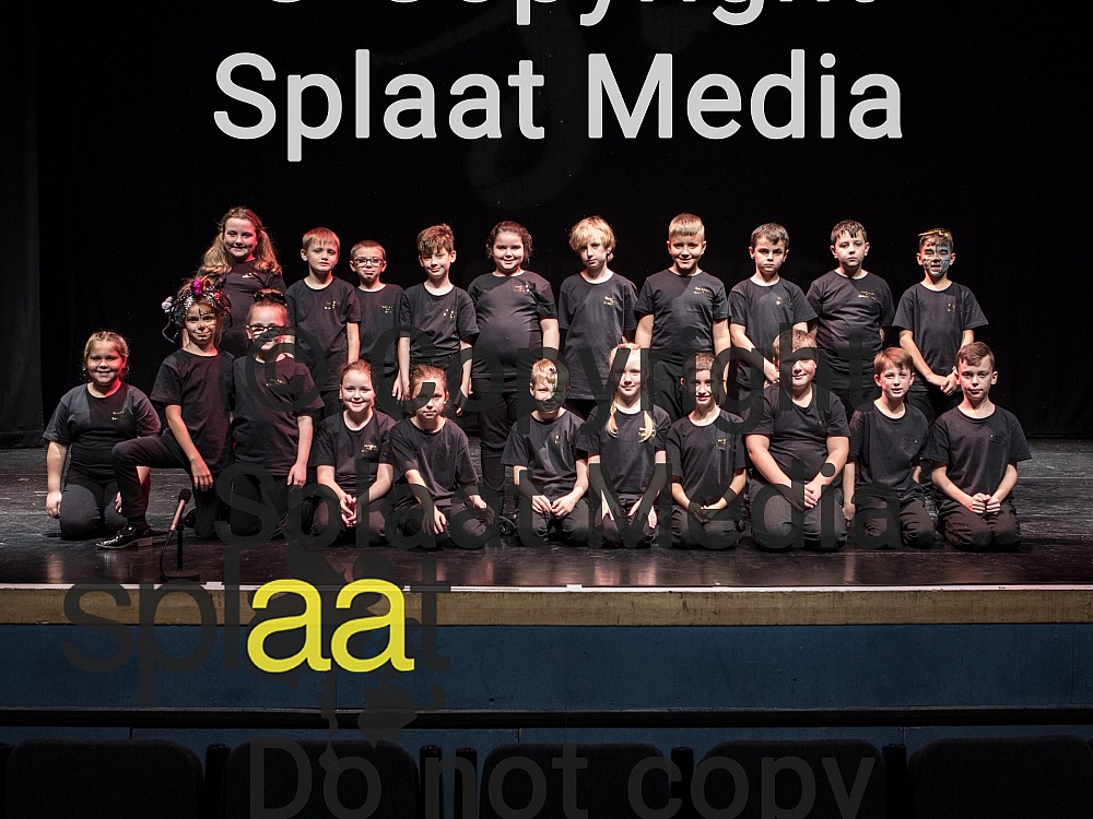 Howard Junior School > Shakespeare Schools Festival 2018