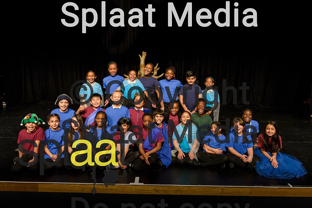 Willow Brook Primary > Shakespeare Schools Festival 2018