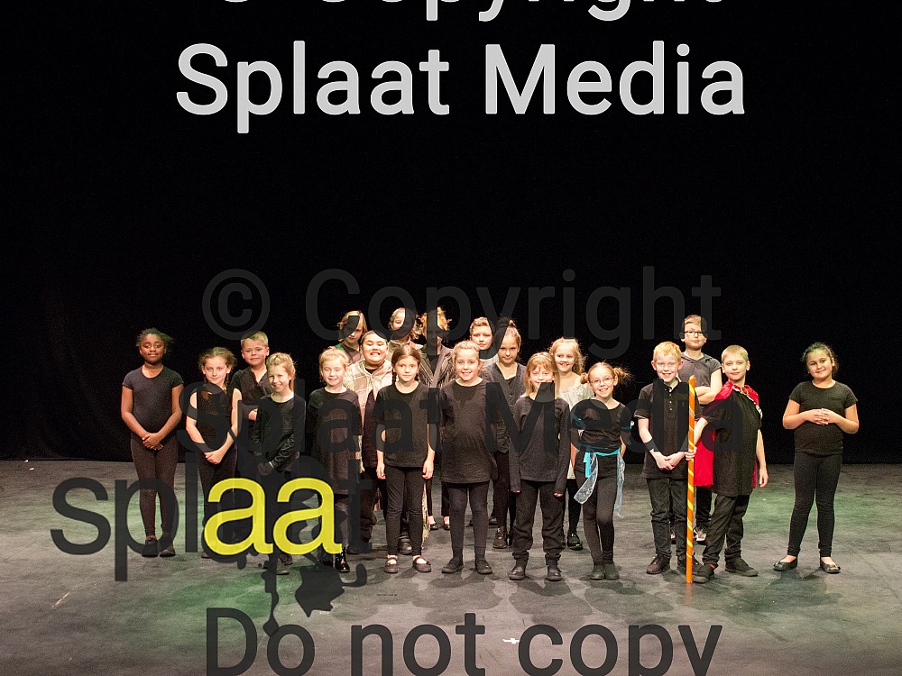Bramford Primary School > Shakespeare Schools Festival 2018
