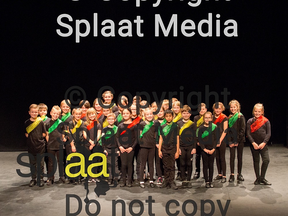 Peters Hill Primary School > Shakespeare Schools Festival 2018
