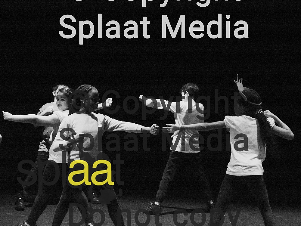 Ripple Primary School > Shakespeare Schools Festival 2018