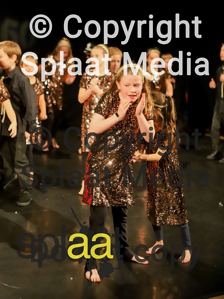 Broadclyst Community Primary School > Shakespeare Schools Festival 2018