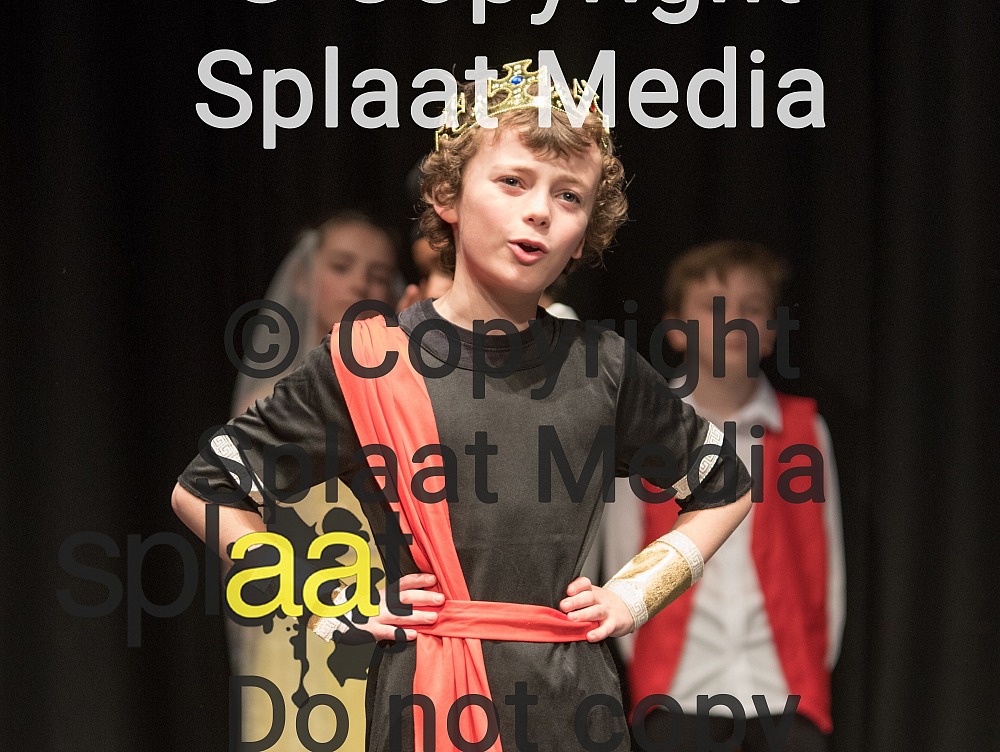 Cyfarthfa Park Primary School > Shakespeare Schools Festival 2018