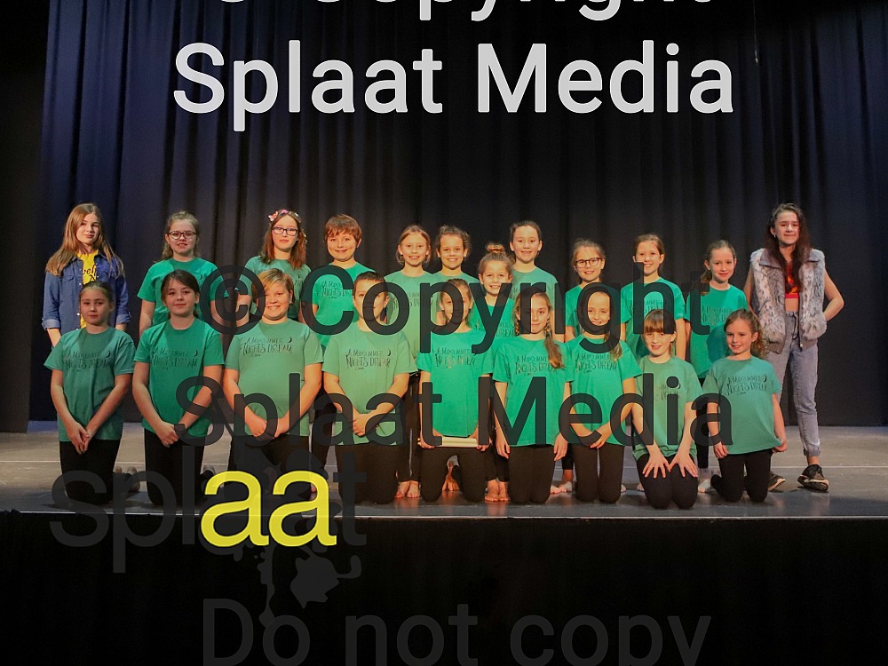Sherwell Valley Primary School > Shakespeare Schools Festival 2018