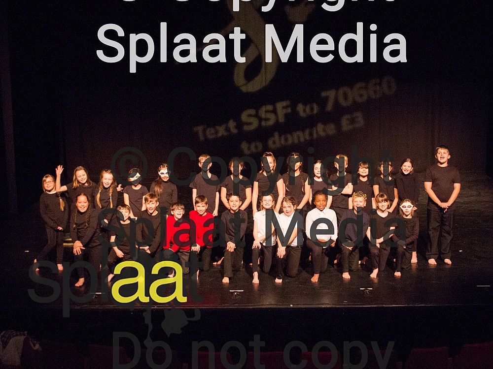 Greenfields Primary School > Shakespeare Schools Festival 2018