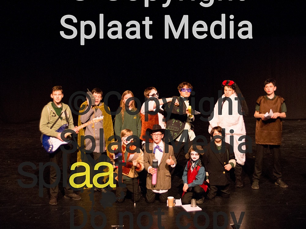 Wilds Lodge School > Shakespeare Schools Festival 2018