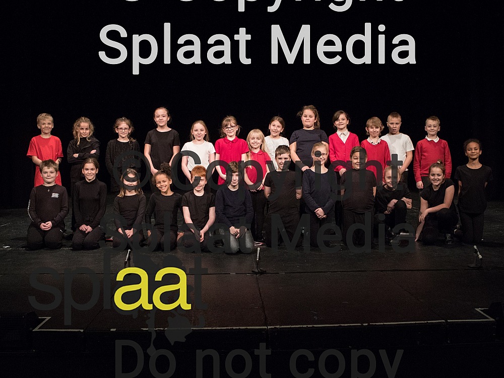 Beechwood Primary School > Shakespeare Schools Festival 2018