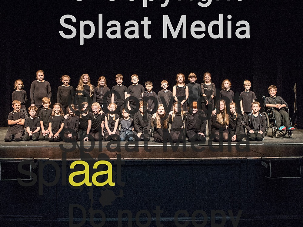 Elm Tree Primary School > Shakespeare Schools Festival 2018
