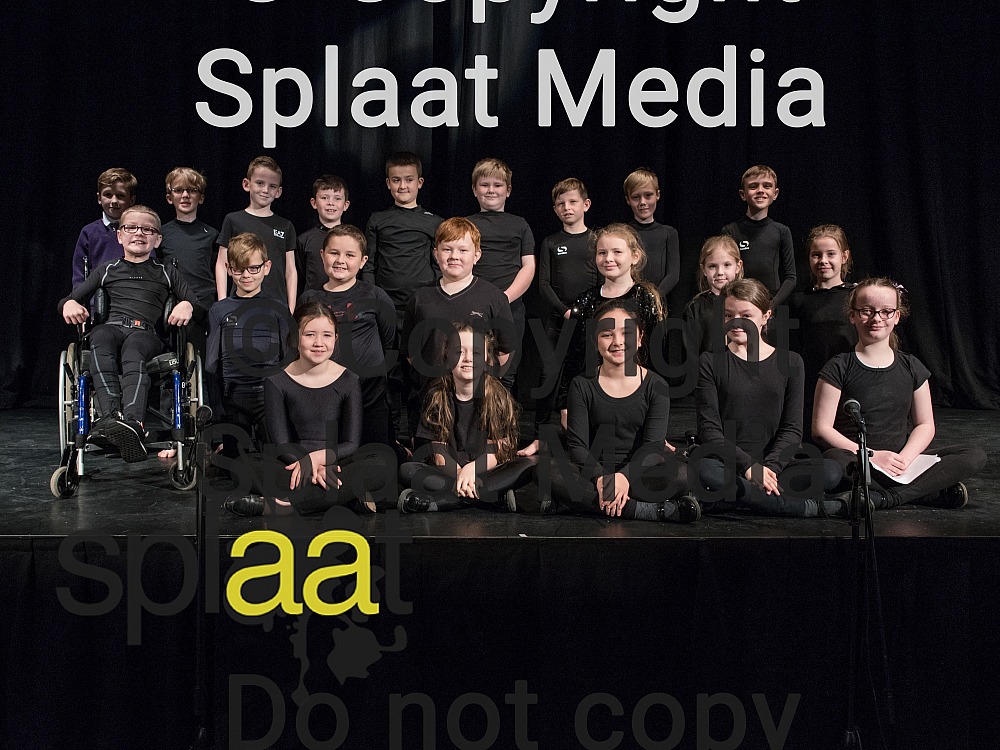 St John Fisher RC Primary School > Shakespeare Schools Festival 2018