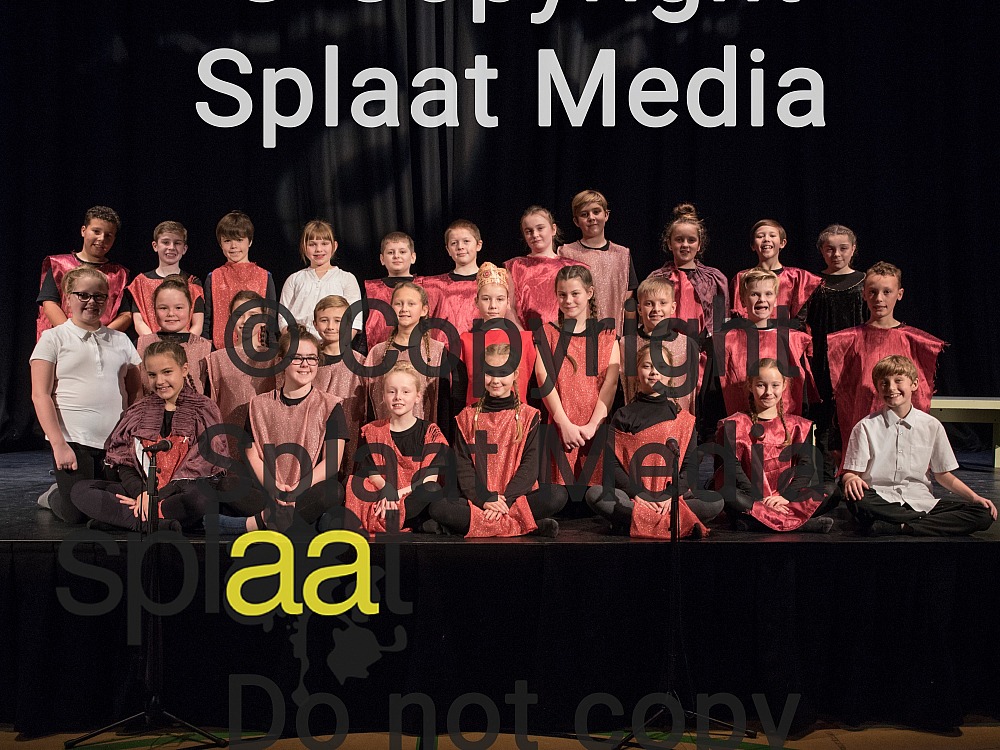 St Andrews The Apostle RC Primary School > Shakespeare Schools Festival 2018