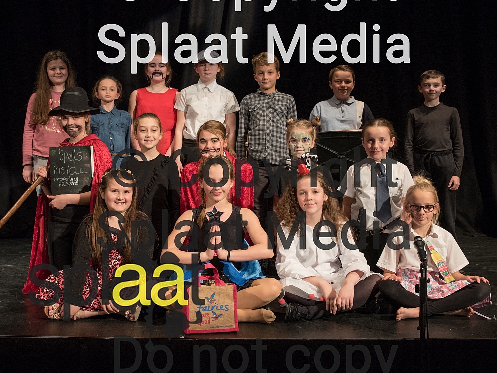 Plantation Primary School > Shakespeare Schools Festival 2018