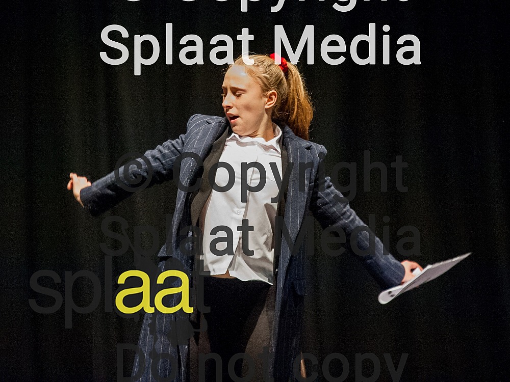 Therfield School > Shakespeare Schools Festival 2018