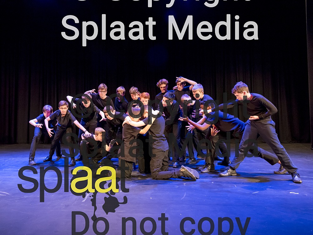 Glyn School > Shakespeare Schools Festival 2018