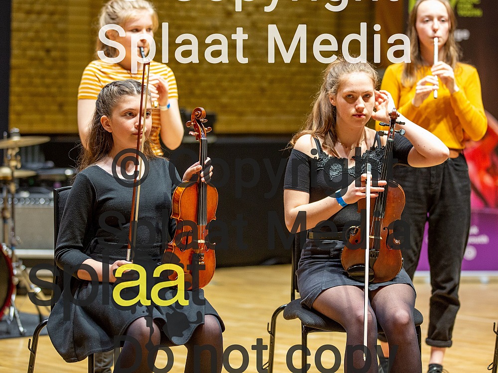 Swn CeltaiddÂ > MFY National Festival 2019